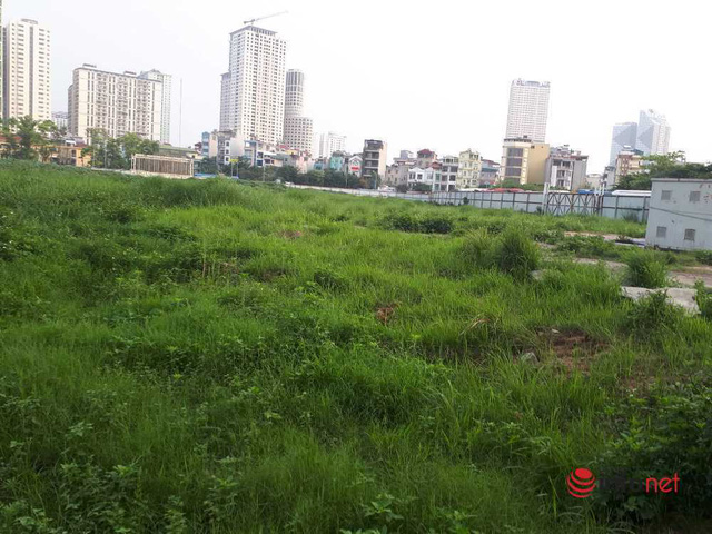 Hà Nội: Những dự án om đất vàng, để cỏ mọc um tùm sau những tấm tôn quây kín - Ảnh 6. Hà Nội: Những dự án om đất vàng, để cỏ mọc um tùm sau những tấm tôn quây kín - Ảnh 6.