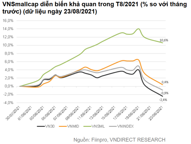 Điều gì khiến dòng tiền ồ ạt chảy vào nhóm cổ phiếu vốn hóa vừa và nhỏ? - Ảnh 2.
