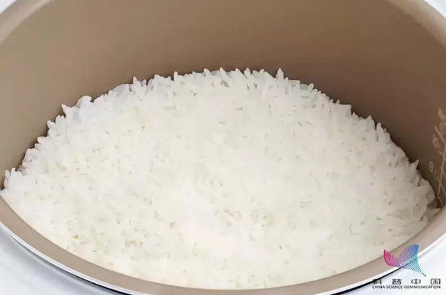 Những sai lầm nghiêm trọng mà nhà nào cũng mắc khiến nồi cơm điện vừa nhanh hỏng lại còn dễ gây bệnh ung thư: Bỏ ngay nếu không muốn tử thần ghé thăm - Ảnh 3. Những sai lầm nghiêm trọng mà nhà nào cũng mắc khiến nồi cơm điện vừa nhanh hỏng lại còn dễ gây bệnh ung thư: Bỏ ngay nếu không muốn tử thần ghé thăm - Ảnh 3.